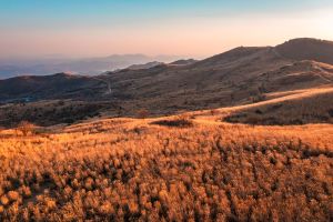 합천군, ‘합치면 천만활로’ 합천미션투어 10월에 진행