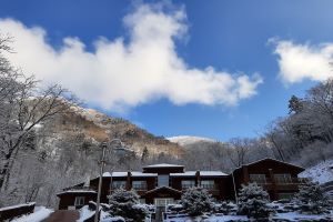 평창군, 초겨울 맛과 쉼의 평창 고랭지김장축제와 두타산자연휴양림으로 놀러오세요!