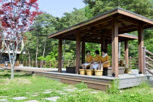 합천 오도산치유의숲, 24-25년 우수 웰니스관광지로 재지정