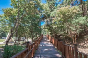 천안시, ‘여름휴가 천안 어때?’ 볼거리·즐길거리·놀거리 ‘가득’ 