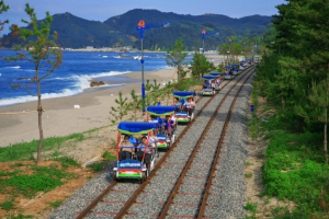 삼척시, 삼척의 명물 삼척해양레일바이크 12월 1일부터 정상운행