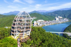 단양군, 만천하스카이워크 충북도내 유료입장 관광객 1위