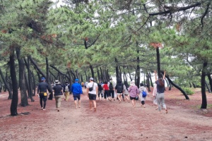 강릉시, 동해선 개통, 강릉 관광의 새로운 도약