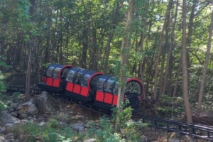 거제시 숲소리 공원내 모노레일 개장 및 시범운영 