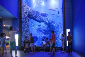 단양군, 설 연휴, 특별한 추억을 선사할 단양