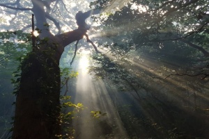 겨울바다의 따뜻한 초대, 고흥에서 보내는 2월