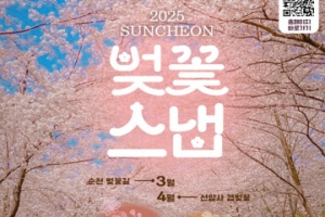 순천시, 지역 이야기를 담은 ‘벚꽃 스냅사진 투어’ 운영