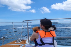 거제시, 반려동물 동반 여행상품 운영