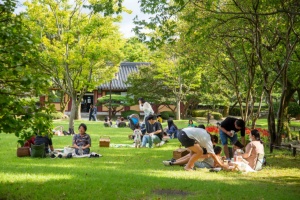 남원 맞춤 관광 프로그램, 광한루OnePick크닉_봄! 다시봄』