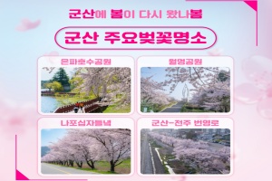 군산시, 벚꽃사진 인증샷 ‘군산에 봄이 다시 왔나봄’이벤트