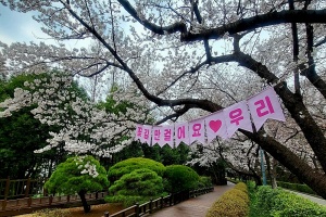 광양시, 봄날의 즐겨찾기는 꽃의 도시 ‘광양여행’