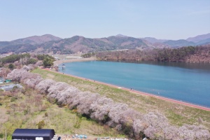 전주·완주 시티투어 여행, 4월 개시!