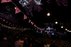 서초구, 서울 3대 벚꽃 축제 중 하나 ‘양재천 벚꽃 등(燈) 축제’ 개최