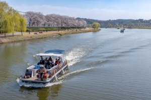 순천시, 동천 벚꽃 포토스팟은 정원드림호, 2025년 정원드림호 운항 시작