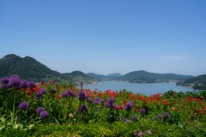 고흥군, 자연과 조화를 이루는 쑥섬과 고흥만 수변노을공원 소개