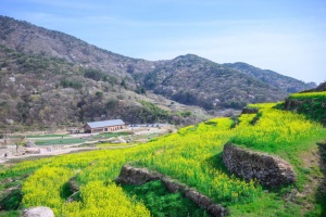 남해군, ‘웰컴 투 파라다랑스’ 두모마을‘파라다랑스’ 12일 개장