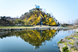 화순군, 봄 4월 꽃의 대향연 ‘2025 화순 봄꽃 축제’
