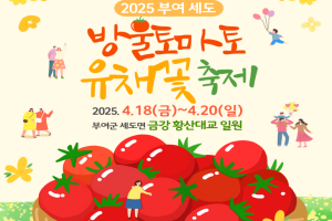 부여세도 방울토마토 & 유채꽃 축제, 4월 18일부터 20일까지 개최