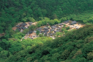 해남 대흥사, 문화체육관광부 우수 웰니스관광지 선정