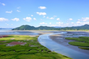 순천만습지, 전국 생태관광지 중 ‘가장 방문하고 싶은 곳 1위’ 등극