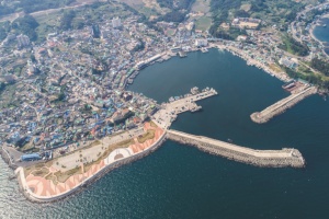 경주 감포항 100년, '모두가 만든 모두의 축제’ 세계로 뻗는 새 도약 기대
