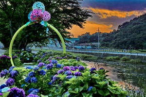 경남도, 싱그러운 초록잎과 꽃이 가득한 봄 사진 명소 12곳 추천