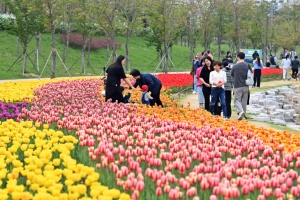 하남시 미사경정공원·호수공원, 겹벚꽃과 튤립으로 물든 도심 속 봄 명소