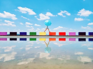 사천시 무지갯빛 해안도로, 자운영 보랏빛으로 물들다! 