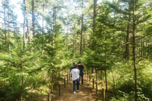 광양시, 백운산둘레길, 남파랑길 광양코스 등 걷기 명소 추천 