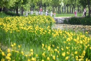 거창에 ON 봄 축제, 15일 거창창포원에서 개막