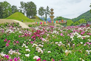 경주로 떠나는 봄의 피날레 여행…청량함이 절정인 5월의 초대