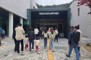 평창 관광지를 하루 만에! 2025년 평창시티투어버스 운영