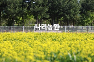 양주 나리농원, 봄꽃 향기 따라 걷는 9일간의 초대… 5월 24일 봄 개장