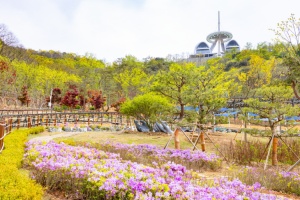 강화 화개정원 개원 2주년… 교동도 대표 관광지로 우뚝