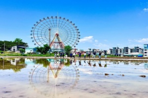 당진시 5월의 사진 명소 주목하세요!