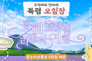 동해 여행, 서울 출발 시티투어버스로 하루 만에 즐겨볼까! 