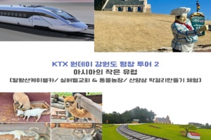 평창군, 2025년 철도 관광상품 30일부터 운영