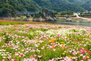 단양 도담정원, 7월 30일까지 ‘봄정원’으로 새단장