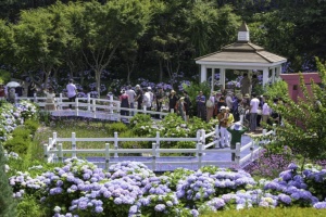울산 남구, ‘수국 바다’ ‘제4회 장생포 수국 페스티벌’ 7일~29일 개최