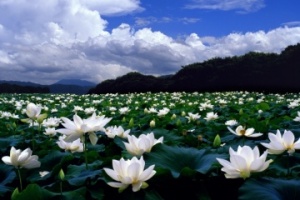 ‘함양에서 한 달 여행하기’ 2차 참여자 모집 