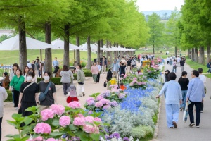 순천만국가정원, 200만 관람객 돌파! 여름 ‘정원캉스’ 명소 