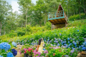 해남군, 초여름 싱그러움 가득한 땅끝해남의 정원 4선