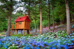 전남도, 엄마 카카오톡 프사 바꿔드리기’ 6월 사진 명소 