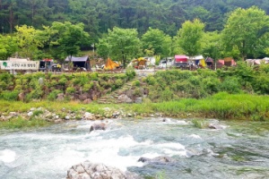 단양군, 공공 야영장 숙박비 30퍼센트 지역화폐 환급