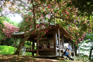 담양군, 조선 선비정신 담은 전통 별서정원, 담양 ‘명옥헌 원림’