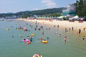 보성군, 율포솔밭해수욕장 7월 12일 개장