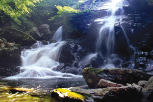 광양시, ‘폭포-멍’하기 좋은 백운산 어치계곡 ‘구시폭포’ 방문 추천