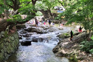 전남도, 이달의 농촌체험휴양마을에 순천 용오름마을 