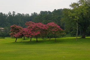 거제시, 대통령의 휴가지 ‘저도’ 하반기 전격 개방