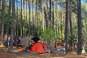 광양에서 찾는 쉼의 미학, 복잡한 도시 벗어나 ‘트래블 라운징’ 